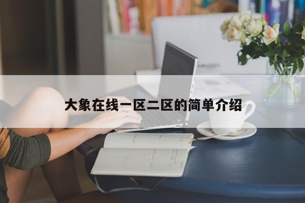 大象在线一区二区的简单介绍