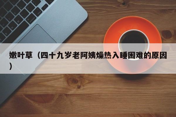 嫩叶草(四十九岁老阿姨燥热入睡困难的原因)