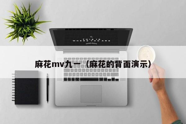 麻花mv九一(麻花的背面演示)