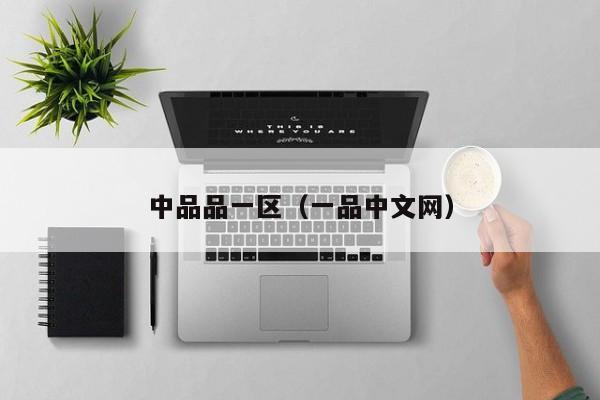 中品品一区(一品中文网)