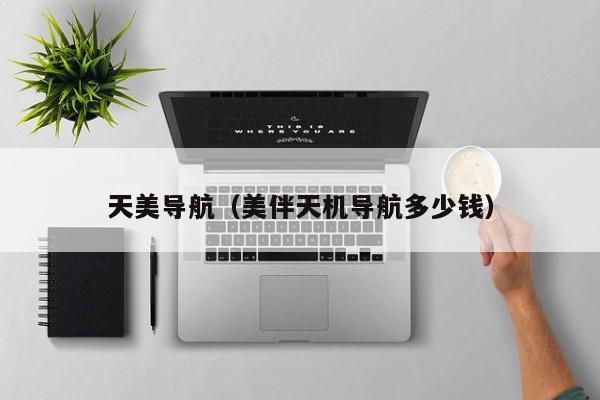 天美导航(美伴天机导航多少钱)