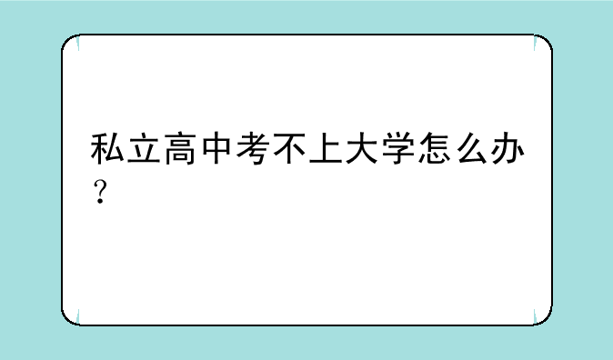 私立高中考不上大学怎么办？