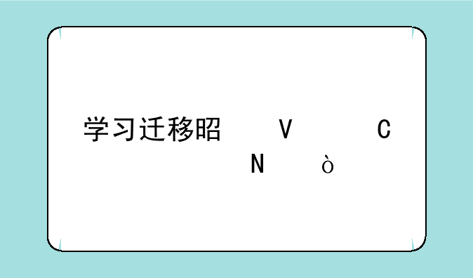 学习迁移是啥子概念哦？