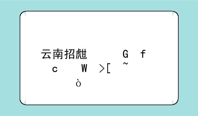 云南招生网普高录取查询？
