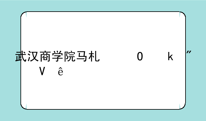 武汉商学院马术专业分数线