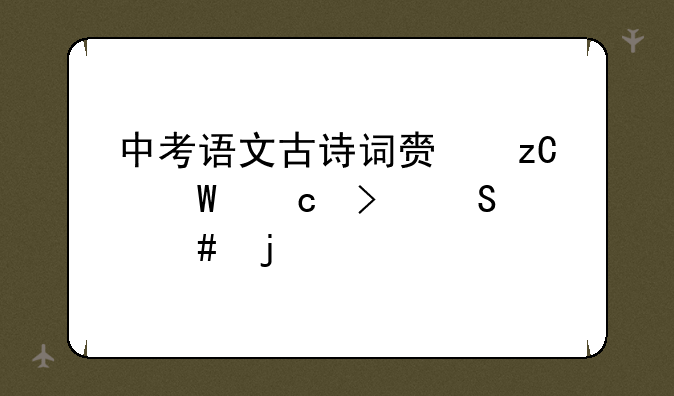 中考语文古诗词赏析试题及答案的总结